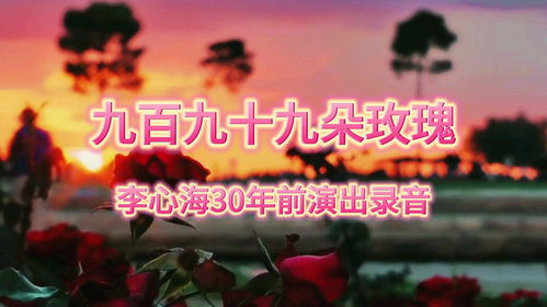  ，九百九十九朵玫瑰歌曲，九百九十九朵玫瑰，爱情的永恒誓言--第1张