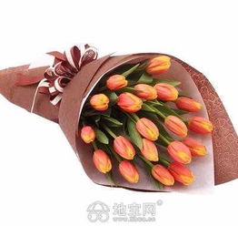  送女生郁金香代表什么--第1张