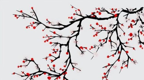  梅花诗句经典名句，梅花经典诗句，暗香浮动，疏影横斜--第1张