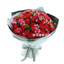  康乃馨满天星花语是什么，康乃馨满天星的花语是温馨、清纯、关怀、思念、清纯的恋爱。它代表着浓郁的亲情之爱，也适合送给母亲表达爱意。--第1张