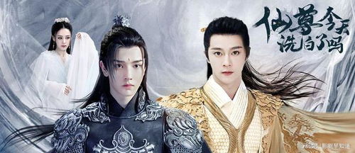  短剧仙婿仙尊降世全集观看，仙婿仙尊降世，全集观看--第1张
