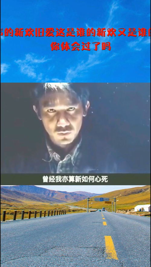  短剧你是我的新欢旧爱全集观看--第1张