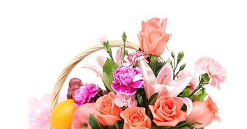  象征老师的花，智慧之花——象征老师的花--第1张