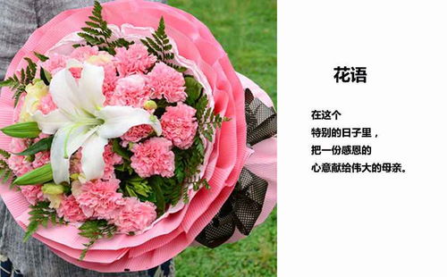  粉色康乃馨，送给女朋友的完美选择--第1张