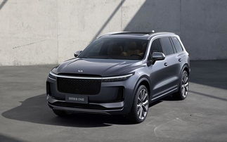 理想新能源汽车suv_理想牌新能源汽车--第1张