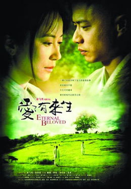  短剧如果爱有来生全集观看，短剧如果爱有来生全集在线观看--第1张
