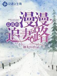  陆总的漫漫追妻路全集观看，陆总的漫漫追妻路，全集在线观看--第1张