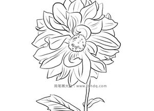  简笔画花朵大全100种，简笔画花朵大全，10种常见花朵的画法--第1张