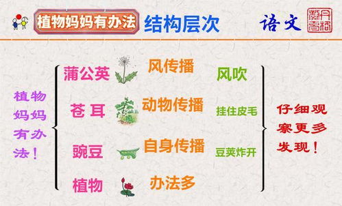  神奇的植物传播种子的方法--第1张