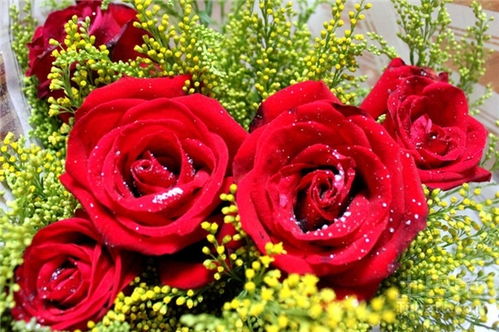  ，9朵黄玫瑰的花语，无尽的爱，9朵黄玫瑰的花语，无尽的爱。一朵黄玫瑰代表纯洁的友谊和美好的祝福，而9朵黄玫瑰则代表无尽的爱，表达对爱人的浓烈情感和永恒的爱情。--第1张