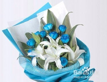  蓝色妖姬玫瑰花图片及花语，蓝色妖姬的魅力，玫瑰花图片及花语--第1张