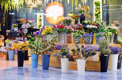  加盟花里花店，开启您的美丽事业--第1张