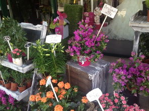  兰州鲜花店订花电话，兰州鲜花店订花电话，订购鲜花的便捷方式--第1张