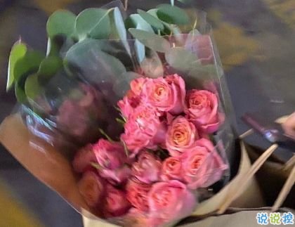  晒花怎么发朋友圈，晒花朋友圈怎么发--第1张