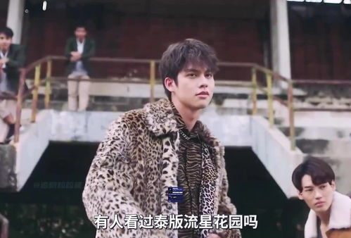  短剧财阀家的大少爷全集观看--第1张
