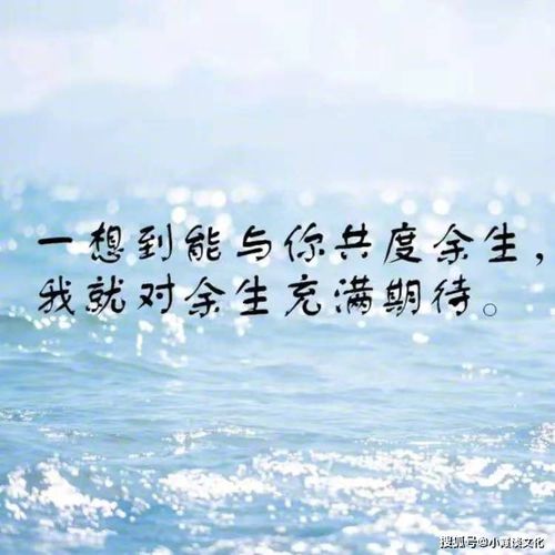  情人节话语感人，情人节感人话语，爱的承诺与深情表达--第1张