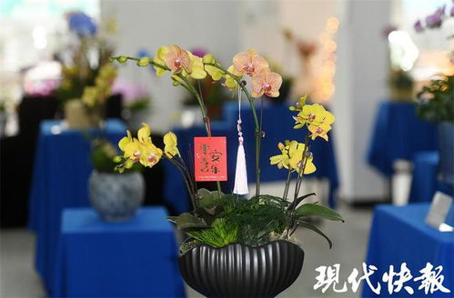  花中君子之首是谁--第1张