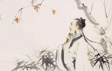  花中君子，千古风华的传承与赞美--第1张