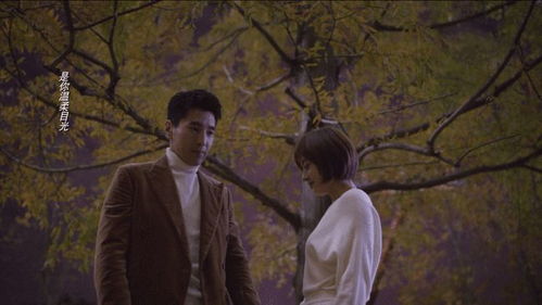  放手吧，顾总夫人她想独自美丽——全集观看，放手吧，顾总夫人她想独自美丽全集在线观看--第1张