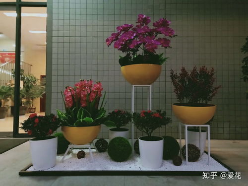  西安花卉网官网——打造您的花卉生活新篇章--第1张