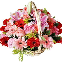  北京订花网站，让您的爱情和祝福绽放，北京订花网站，让爱情和祝福绽放的花朵传递平台--第1张