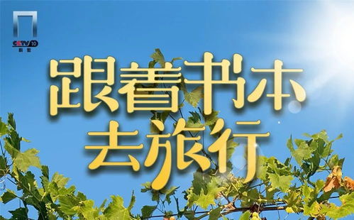  短剧重要通知txt全集观看--第1张