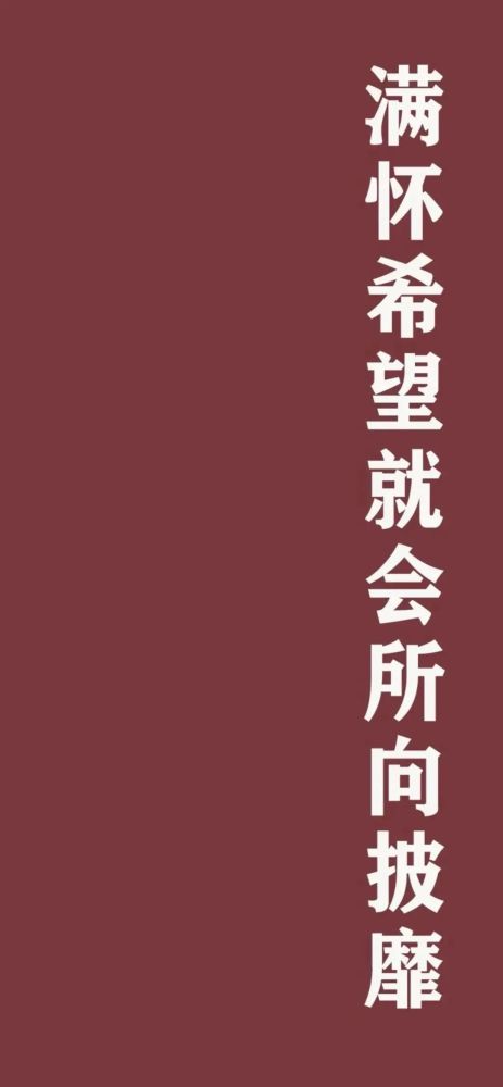  短剧你是我的乍见之欢全集观看，乍见之欢全集免费观看--第1张