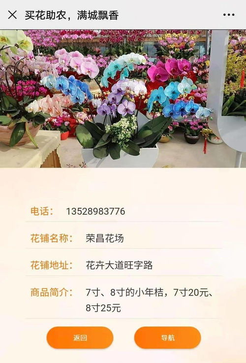  买花去哪个网站，买花去哪个网站，鲜花购买平台推荐--第1张