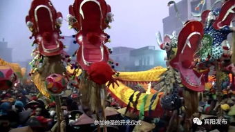  短剧新护国龙帅全集，一场震撼心灵的视觉盛宴--第1张
