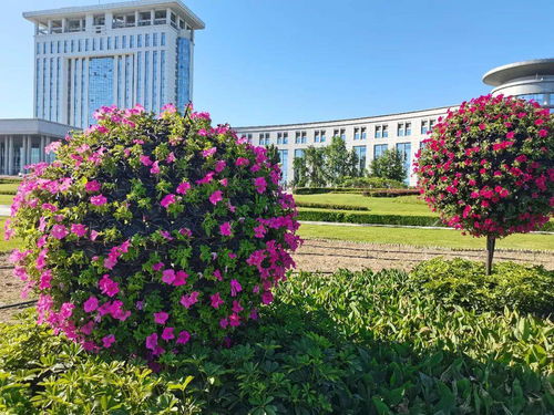  鲜花店网页设计，打造引人入胜的在线花店体验--第1张