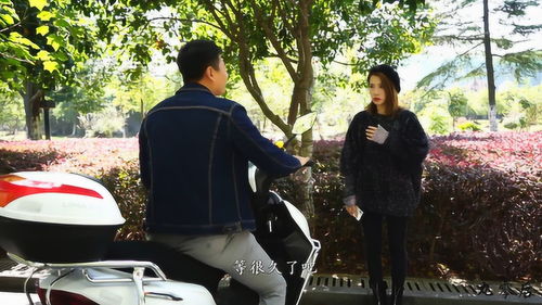  短剧傅太太每天都想离婚全集观看，傅太太每天都想离婚全集在线观看，短剧中的婚姻故事--第1张