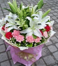  教师节送什么花合适，教师节送康乃馨、百合花、剑兰、向日葵等花合适。--第1张