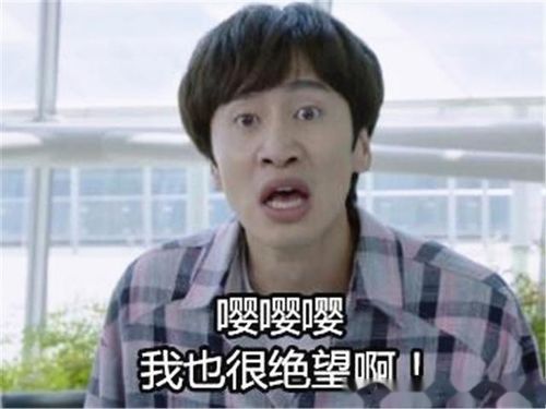  短剧不装了！我的傻子老公是大佬全集观看，短剧不装了！我的傻子老公是大佬全集，傻子老公的隐藏身份--第1张