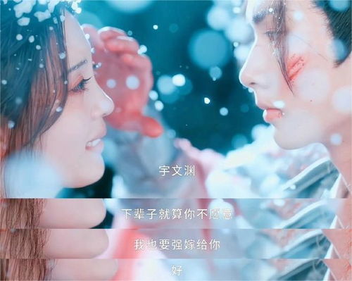  短剧轮回为你而来全集观看，轮回短剧，为你而来全集在线观看--第1张