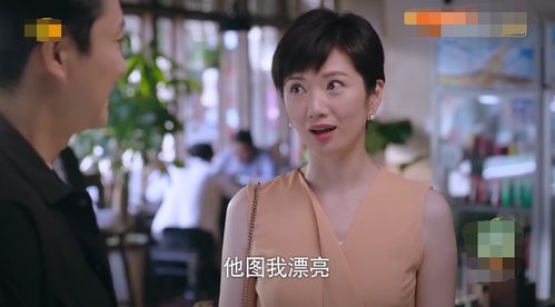  短剧千金斗极品家婆全集观看--第1张