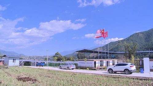  苗圃基地，绿色发展的新引擎--第1张