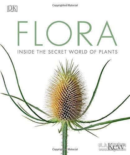  中国植物百科网，探索植物世界的宝典--第1张
