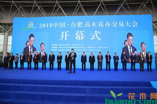  中国花木网苗木价格，市场动态与未来趋势，中国花木网苗木价格和市场动态，未来趋势分析--第1张
