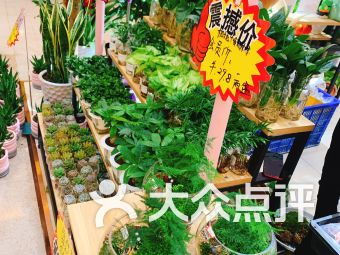  万达广场附近鲜花店的魅力--第1张