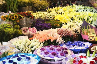  想批发鲜花从哪里进货，鲜花批发市场进货渠道--第1张