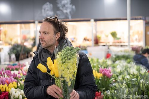  开花店去哪里进货渠道--第1张