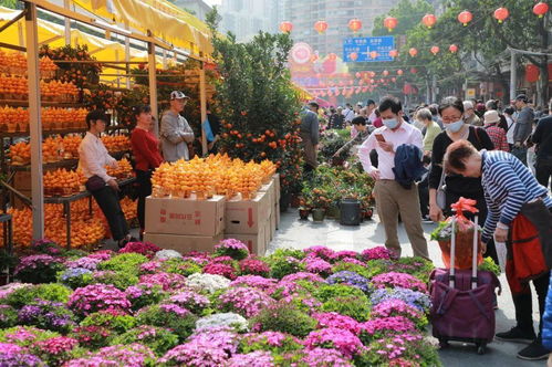  附近花卉市场批发——探寻花卉选购与批发的新天地--第1张