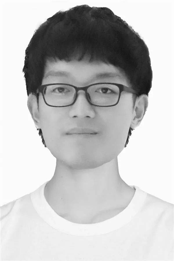  侧柏树，生命的永恒之树，生命的永恒之树——古老而坚韧的植物代表--第1张