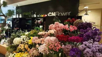  自贡花店，打造美丽生活，传递花艺艺术，自贡花店，传递花艺艺术，打造美丽生活--第1张