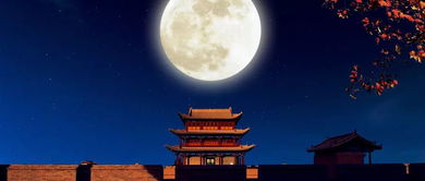  短剧超时空同居之白月光上位手册马秋元全集观看，超时空同居之白月光上位手册全集在线观看--第1张