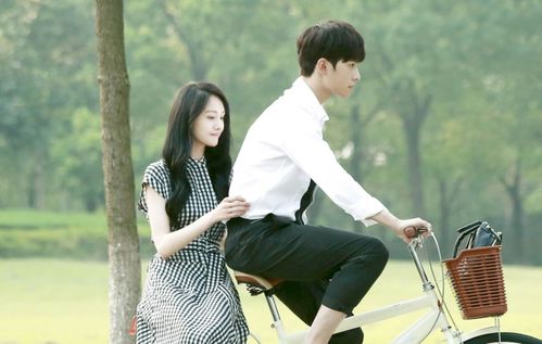  短剧前妻撩人傅先生宠不停全集观看--第1张