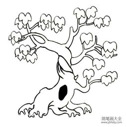  枫树简笔画，枫树简笔画，枫叶的美丽与坚韧--第1张