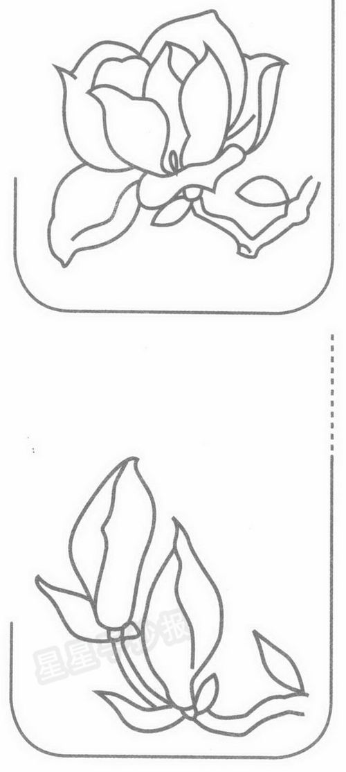 玉兰花简笔画，简单可爱的玉兰花简笔画--第1张