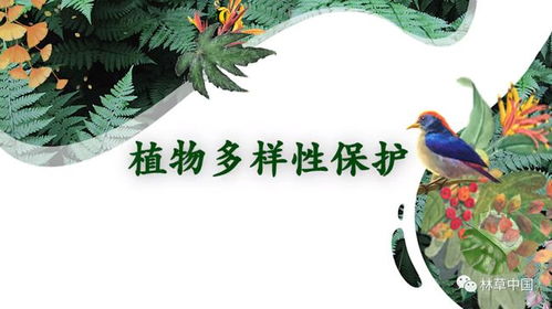  中国植物志，一部揭示中国丰富植物多样性的重要典籍，中国植物志，揭示植物多样性的重要典籍--第1张