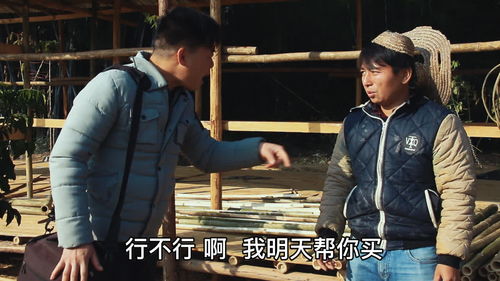  短剧古玩圣手全集观看--第1张